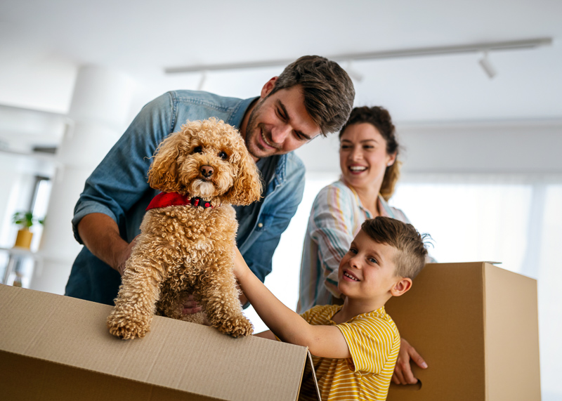 Make Moving With Pets Stress-Free