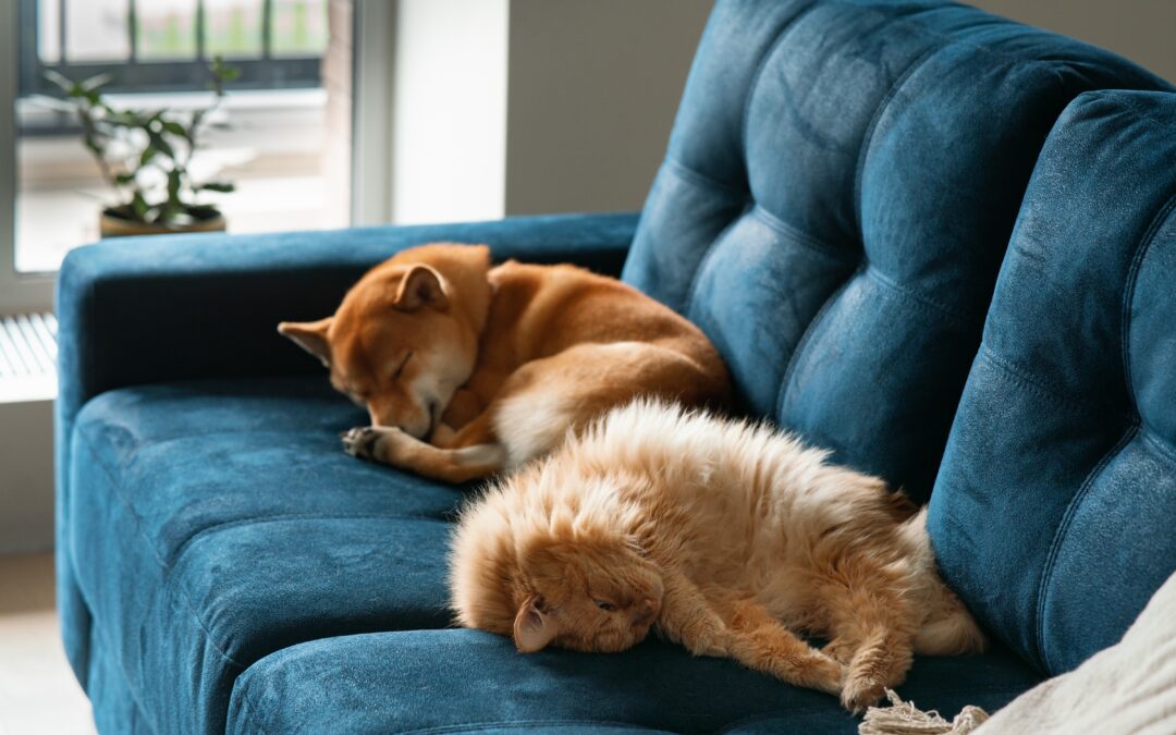 Should You Still Buy a Home with the Latest News About Inflation?