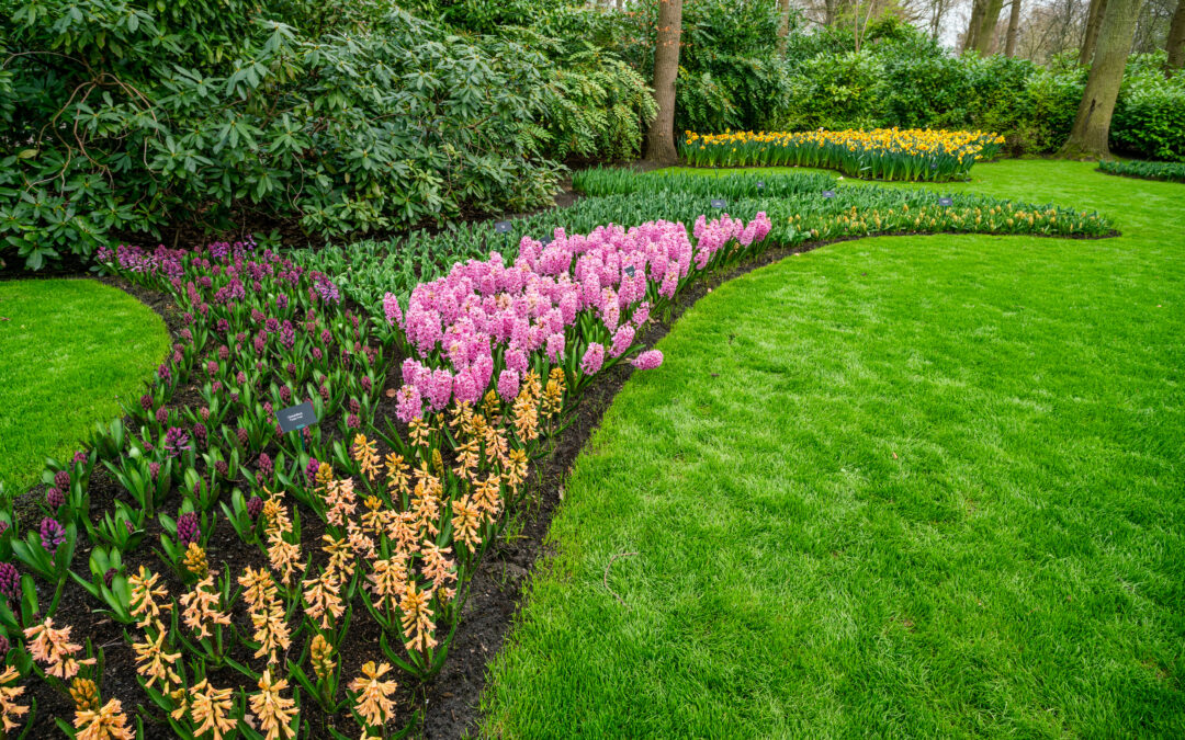 Celebrate Lawn and Garden Month this April